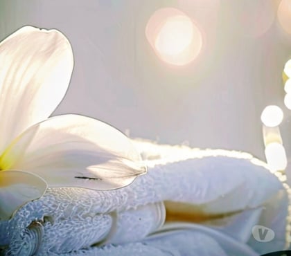 Massage Lyon Lyon - Photos Vivastreet Massage sensuel éveil des sens