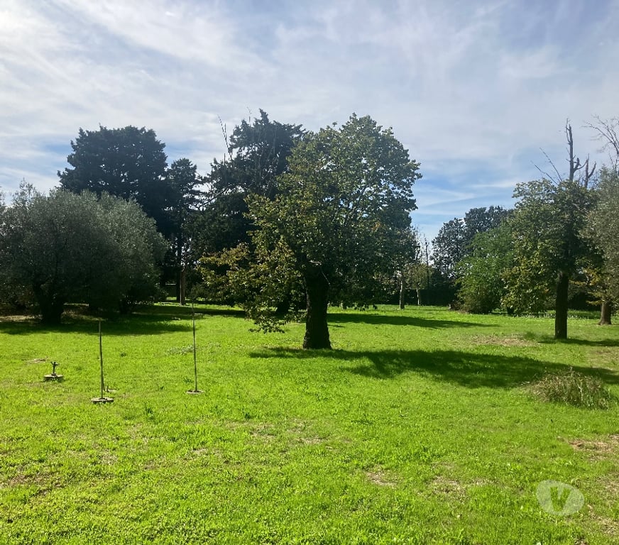 Location maison Gard Bezouce - 30320 - Photos Vivastreet Maison avec jardin à louer