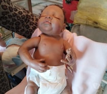 Collection Reborn Ashton-Drake bébé