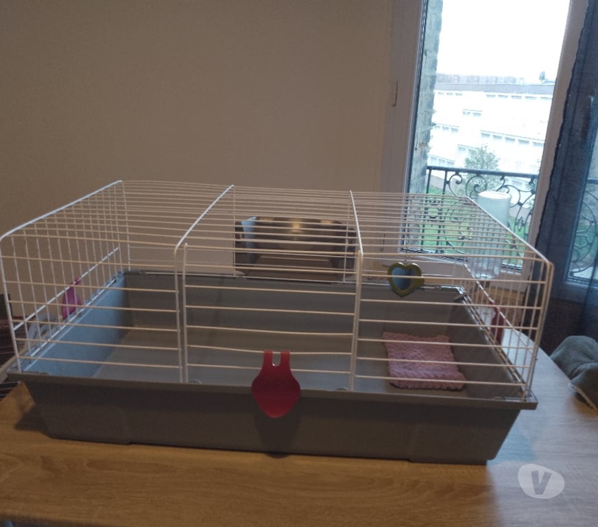 Services, accessoires animaux Seine-Maritime Le Havre - Photos Vivastreet a vendre cage a lapin 🐰 nain complète
