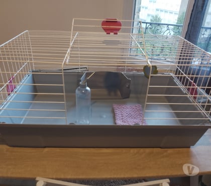 Services, accessoires animaux Le Havre Le Havre - Photos Vivastreet a vendre cage a lapin 🐰 nain complète