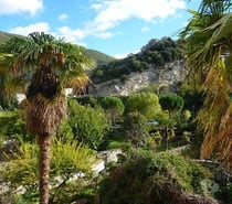 GRAND T3 CENTRE VILLE