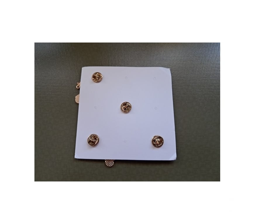 Collection Moselle Hauconcourt - 57280 - Photos Vivastreet Lot Pin's Charlotte fraise manga anime mode japon cosplay go