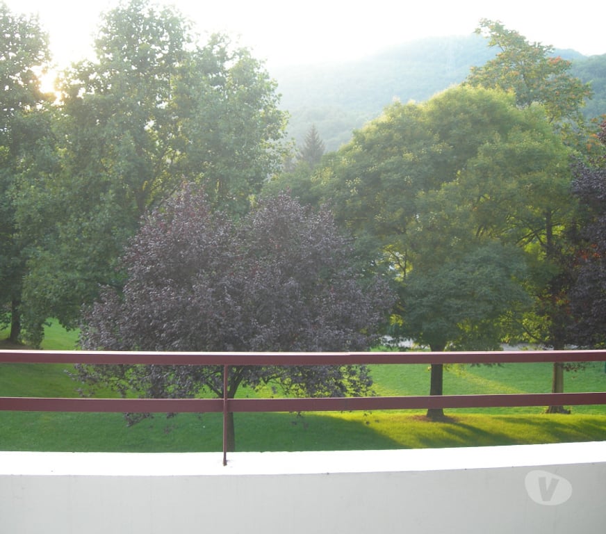 Appartements à vendre Isère Vizille - 38220 - Photos Vivastreet Appartement F2 à Vizille près de Grenoble
