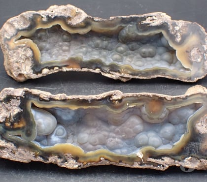 Collections Bertrichamps Meurthe-et-Moselle - Photos Vivastreet Géode de Calcédoine dans un Corail Fossile Floride