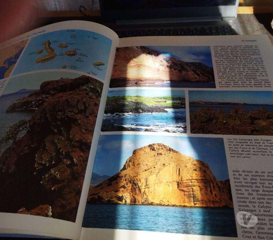 Collection Val-de-Marne Bonneuil sur Marne - 94380 - Photos Vivastreet collection livres cousteau- planète Océan