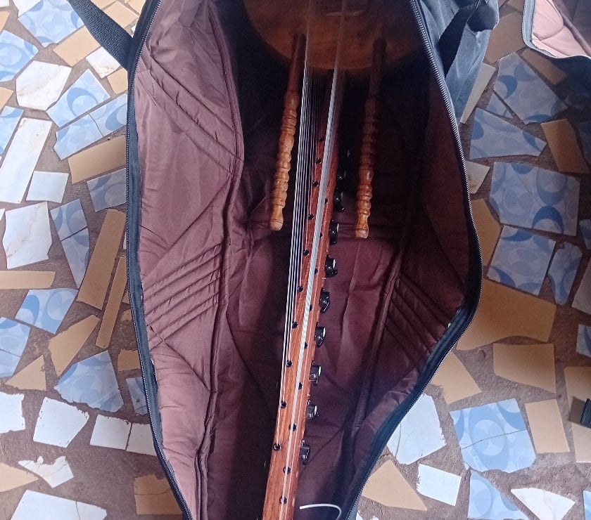 Instruments de musique Hérault Lattes - 34970 - Photos Vivastreet Instrument Kora