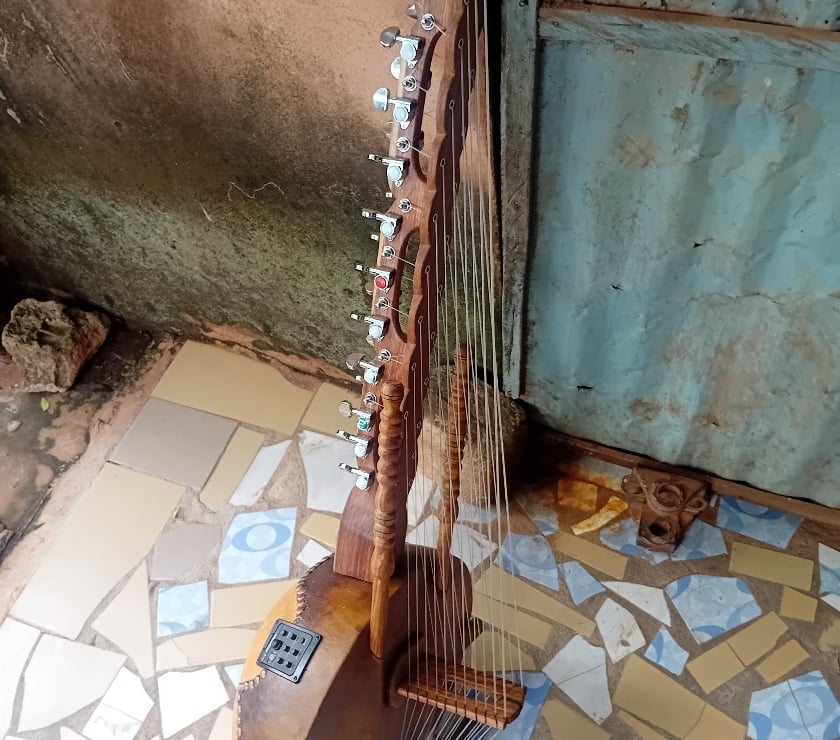 Instruments de musique Hérault Lattes - 34970 - Photos Vivastreet Instrument Kora