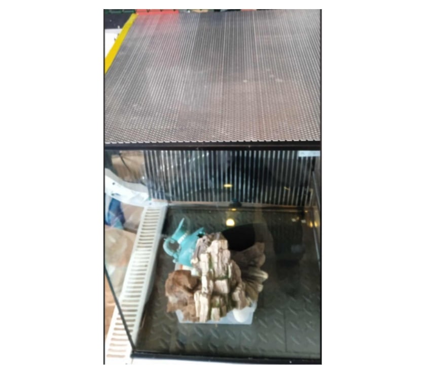 Services, accessoires animaux Nord Escaudain - 59124 - Photos Vivastreet terrarium exoterra