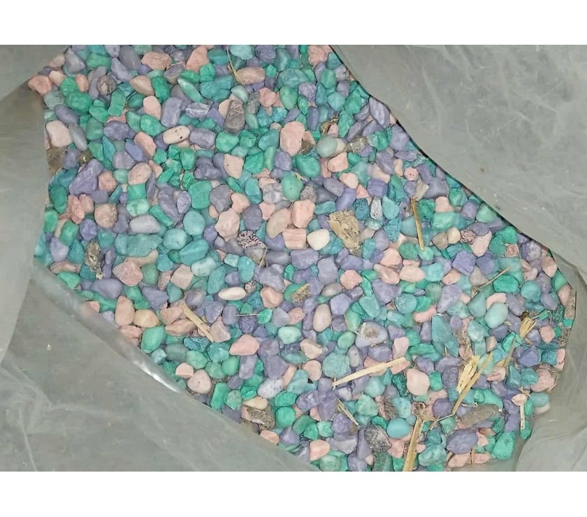 Services, accessoires animaux Nord Escaudain - 59124 - Photos Vivastreet Petit aquarium pour petits poissons