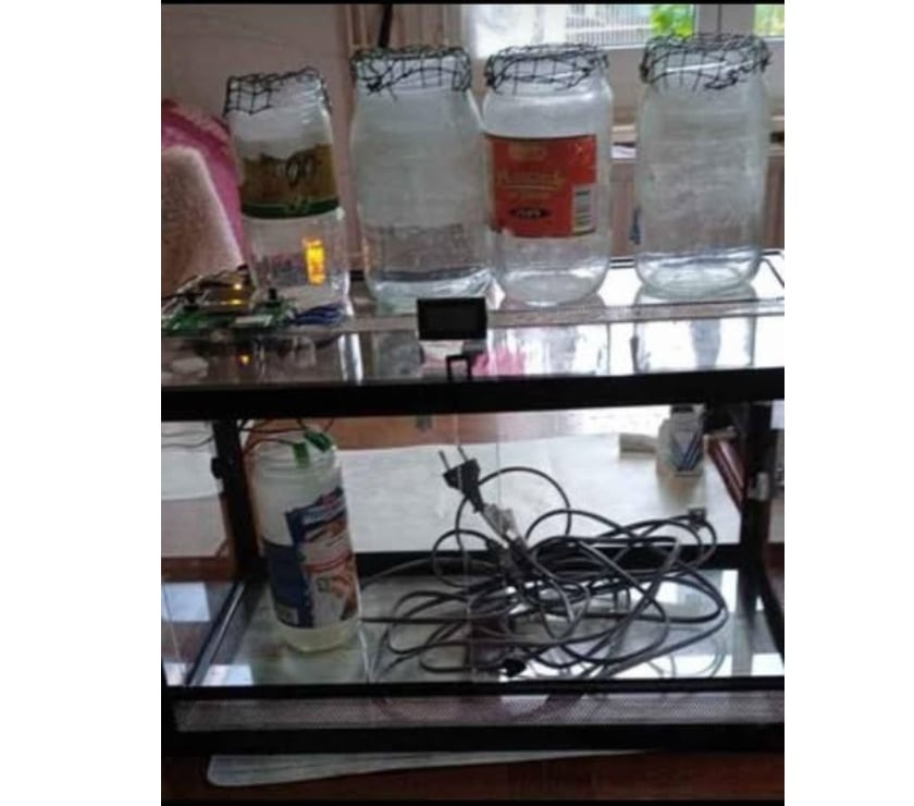 Services, accessoires animaux Escaudain Nord - Photos Vivastreet terra d'elevage modifiable