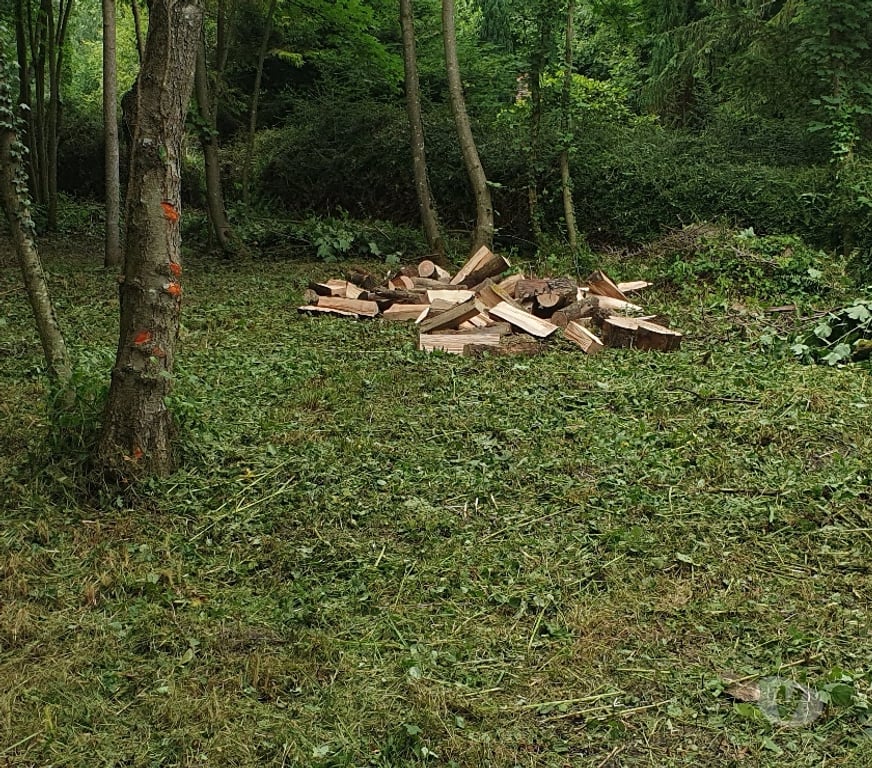 Terrain à vendre Somme Flixecourt - 80420 - Photos Vivastreet Etang80 Pêche & chasse - Hutte jour et nuit