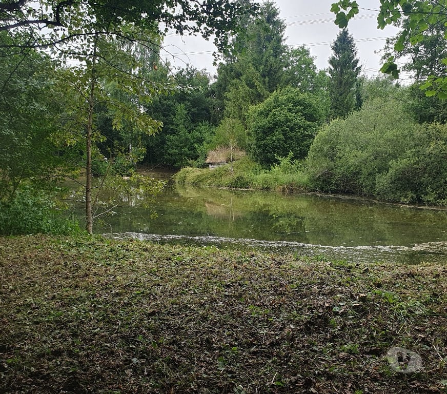 Terrain à vendre Somme Flixecourt - 80420 - Photos Vivastreet Etang80 Pêche & chasse - Hutte jour et nuit