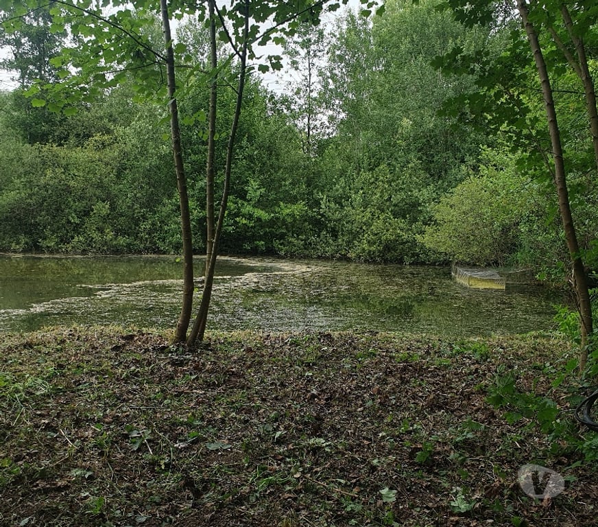 Terrain à vendre Somme Flixecourt - 80420 - Photos Vivastreet Etang80 Pêche & chasse - Hutte jour et nuit