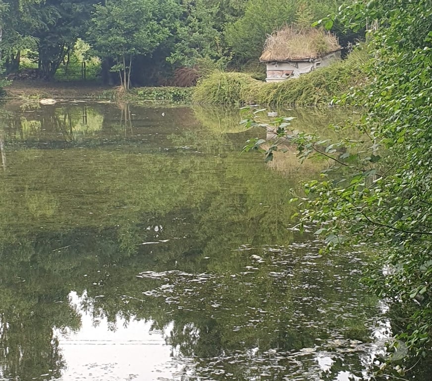 Terrain à vendre Somme Flixecourt - 80420 - Photos Vivastreet Etang80 Pêche & chasse - Hutte jour et nuit