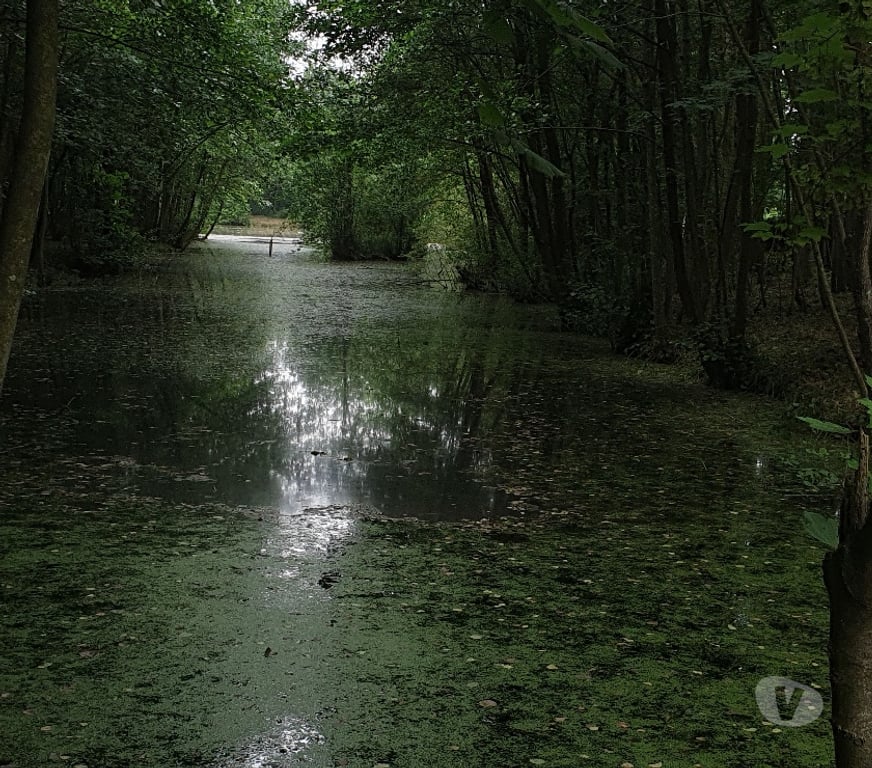 Terrain à vendre Somme Flixecourt - 80420 - Photos Vivastreet Etang80 Pêche & chasse - Hutte jour et nuit
