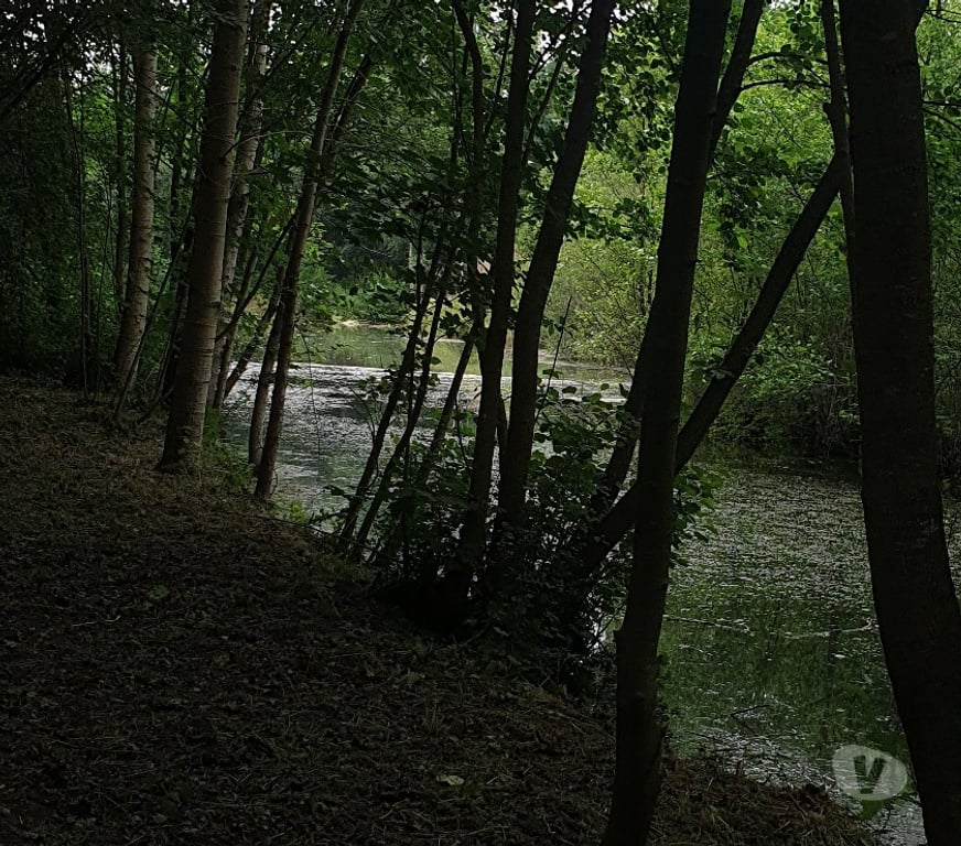 Terrain à vendre Somme Flixecourt - 80420 - Photos Vivastreet Etang80 Pêche & chasse - Hutte jour et nuit