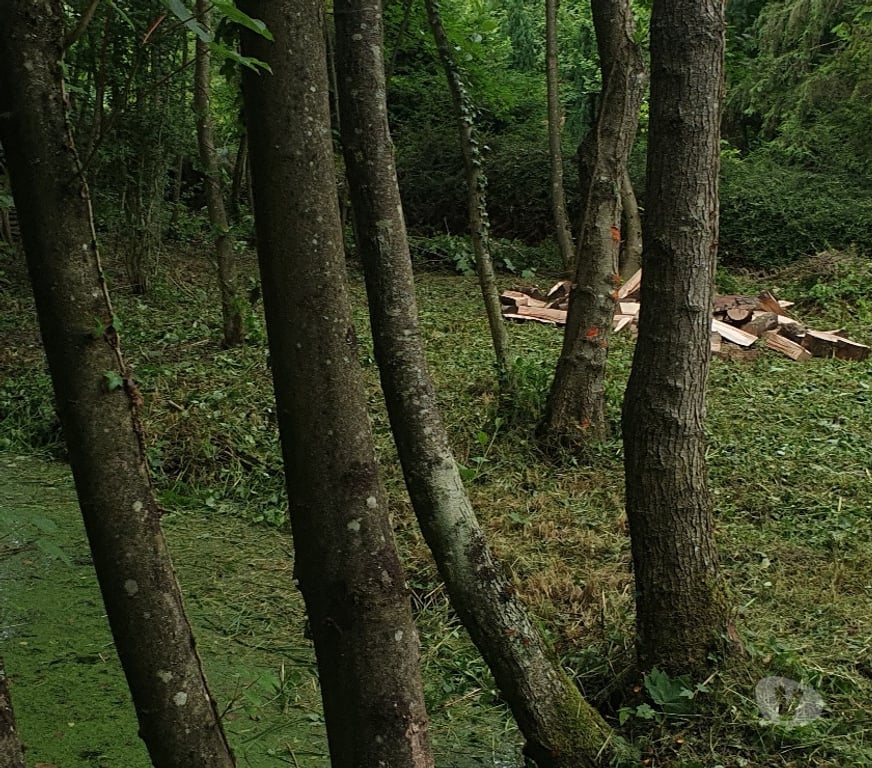 Terrain à vendre Somme Flixecourt - 80420 - Photos Vivastreet Etang80 Pêche & chasse - Hutte jour et nuit