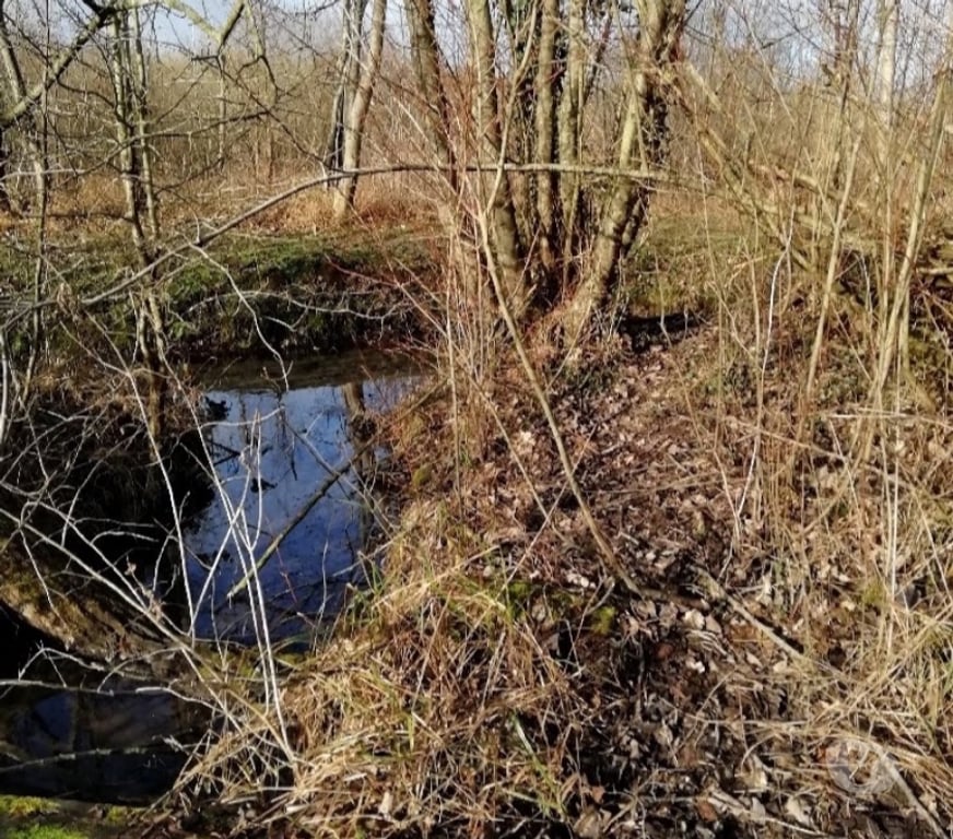 Terrain à vendre Somme Flixecourt - 80420 - Photos Vivastreet Etang80 Pêche & chasse - Hutte jour et nuit