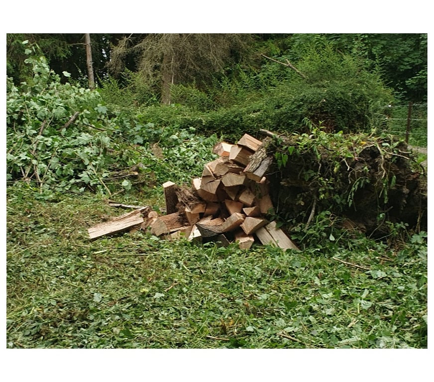 Terrain à vendre Somme Flixecourt - 80420 - Photos Vivastreet Etang80 Pêche & chasse - Hutte jour et nuit