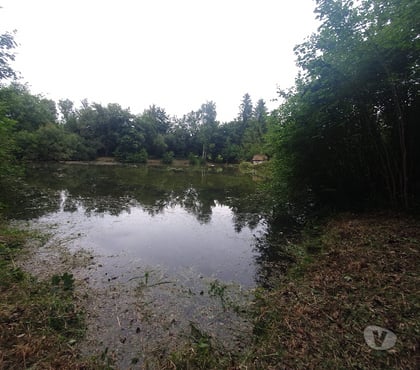 Vente Terrain Flixecourt Somme - Photos Vivastreet Etang80 Pêche & chasse - Hutte jour et nuit