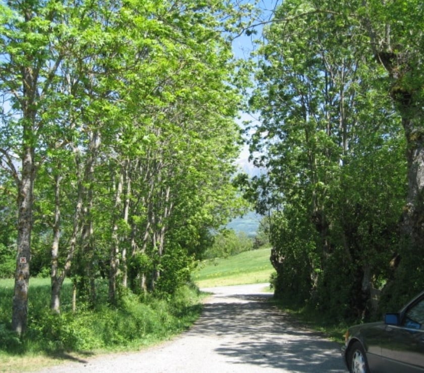 Vente Terres Agricoles Hautes-Alpes Le Noyer - 05500 - Photos Vivastreet Magnifique terrain cadre idyllique