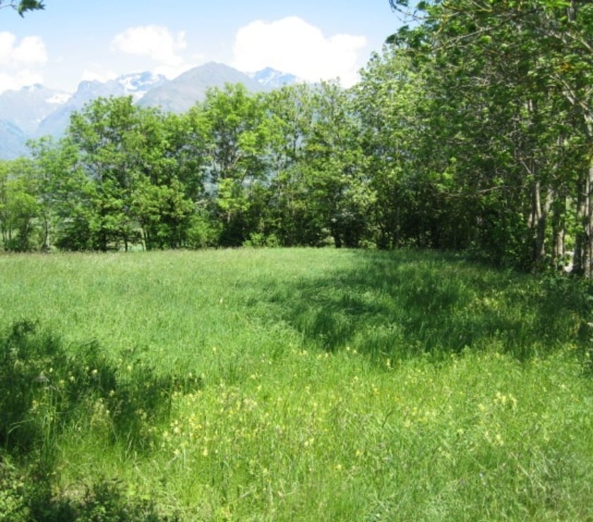 Vente Terres Agricoles Hautes-Alpes Le Noyer - 05500 - Photos Vivastreet Magnifique terrain cadre idyllique