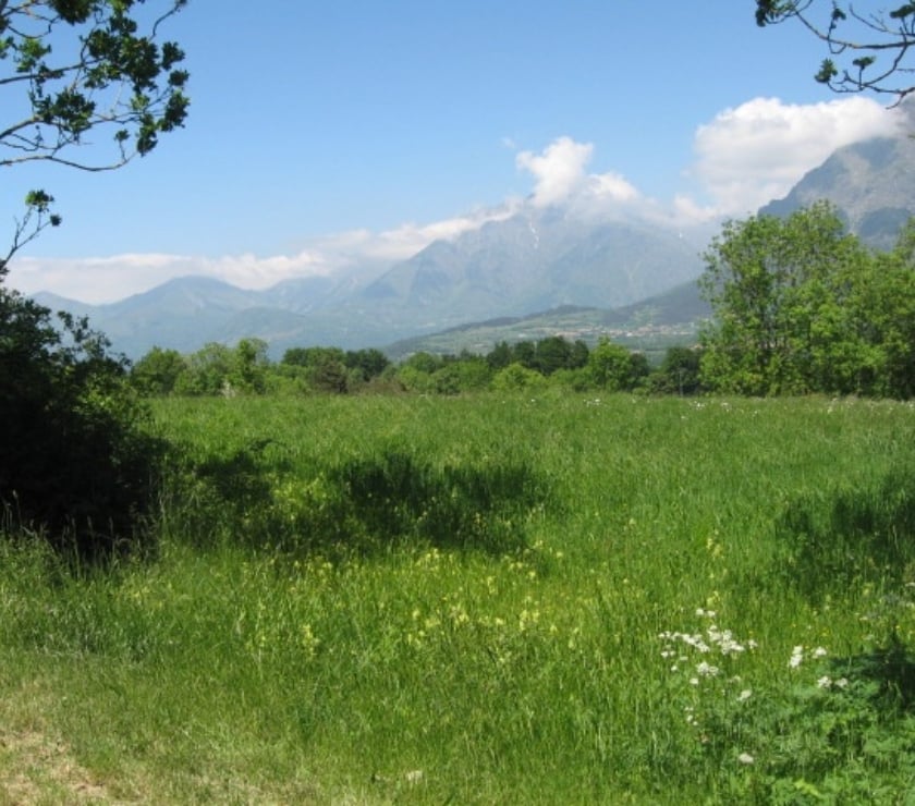 Vente Terres Agricoles Hautes-Alpes Le Noyer - 05500 - Photos Vivastreet Magnifique terrain cadre idyllique