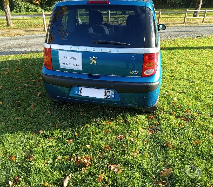 Voiture d'occasion Vienne Marcay - 86370 - Photos Vivastreet PEUGEOT 1007 TRENDY
