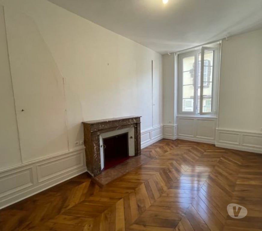 Location appartement Puy-de-Dôme Clermont Ferrand - Photos Vivastreet CLFD Musée Jardin Lecoq Appt.100m2 + Terrasse 50m2 +garage