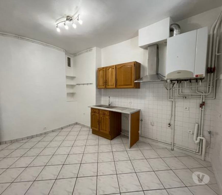 Location appartement Puy-de-Dôme Clermont Ferrand - Photos Vivastreet CLFD Musée Jardin Lecoq Appt.100m2 + Terrasse 50m2 +garage