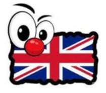 Prof. Natif Diplômé de Cambridge - Cours d’Anglais