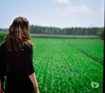 Recherche Modèle Photo Féminin - Strasbourg