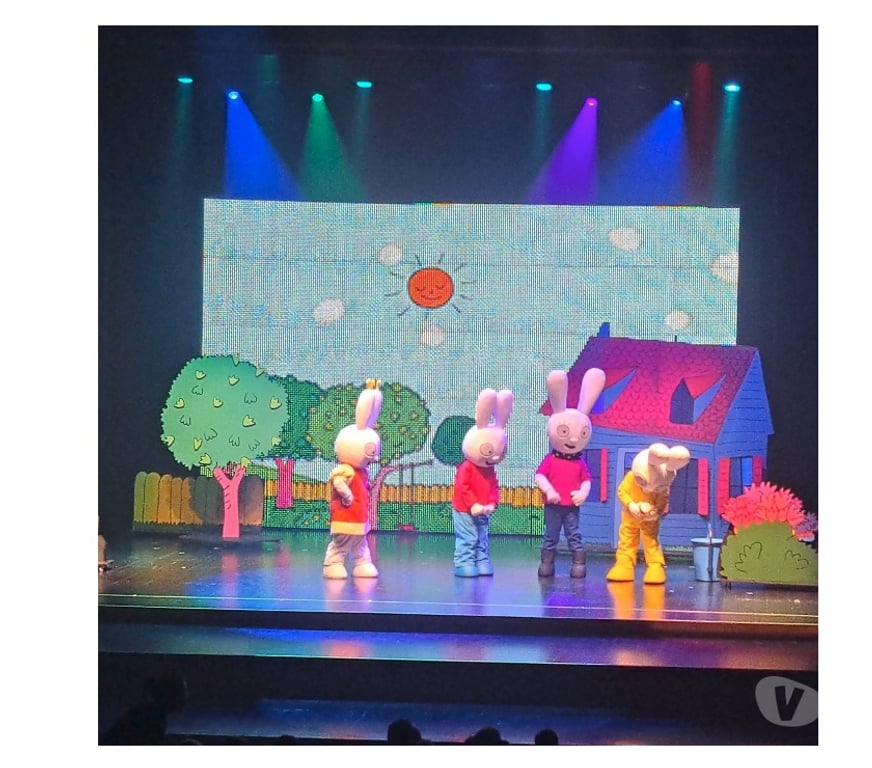 Spectacles Alpes-Maritimes Le Cannet - 06110 - Photos Vivastreet 2 places pour Simon Superlapin samedi 8 novembre au Cannet