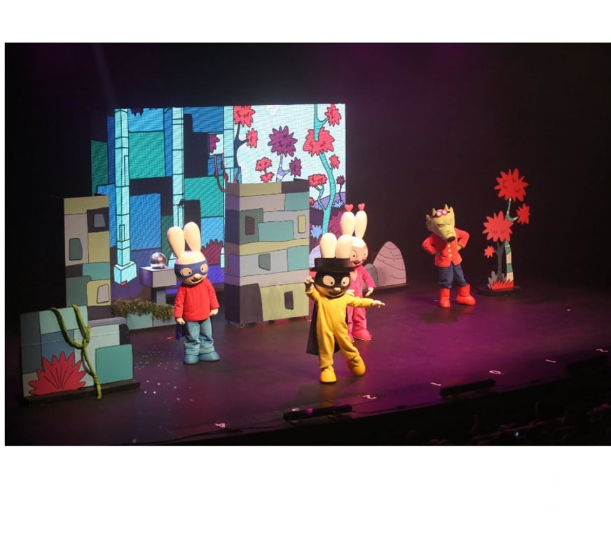 Spectacles Alpes-Maritimes Le Cannet - 06110 - Photos Vivastreet 2 places pour Simon Superlapin samedi 8 novembre au Cannet