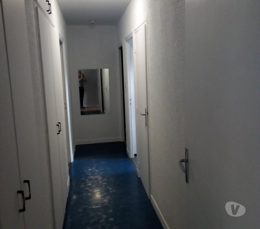 Location appartement Meurthe-et-Moselle Nancy - Photos Vivastreet Bel appartement NANCY Nord