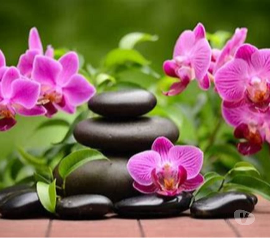 Massages Bas-Rhin Strasbourg - Photos Vivastreet MASSAGE COMPLET, RELAXANT de SAISON, aux huiles chaudes BIO