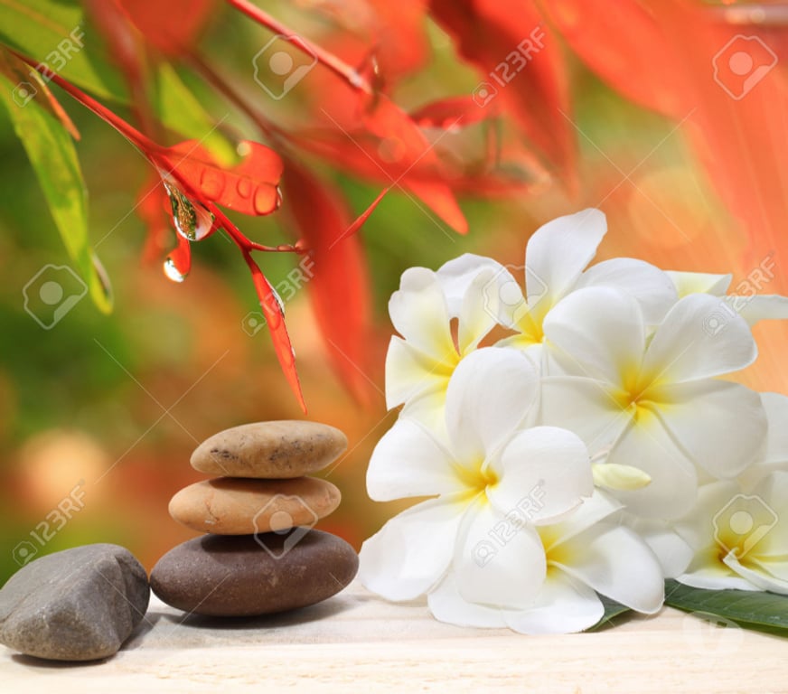 Massages Bas-Rhin Strasbourg - Photos Vivastreet MASSAGE COMPLET, RELAXANT de SAISON, aux huiles chaudes BIO