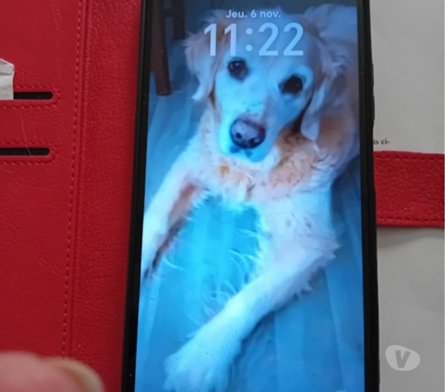 Téléphonie Nord Lille - Photos Vivastreet SMARTPHONE HONOR 70 LITE 4GA5G