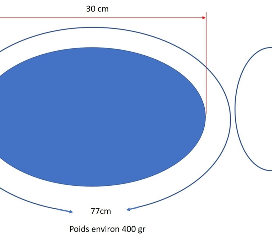 Matériel de sport Haute-Garonne La Salvetat St Gilles - 31880 - Photos Vivastreet Ballon de rugby
