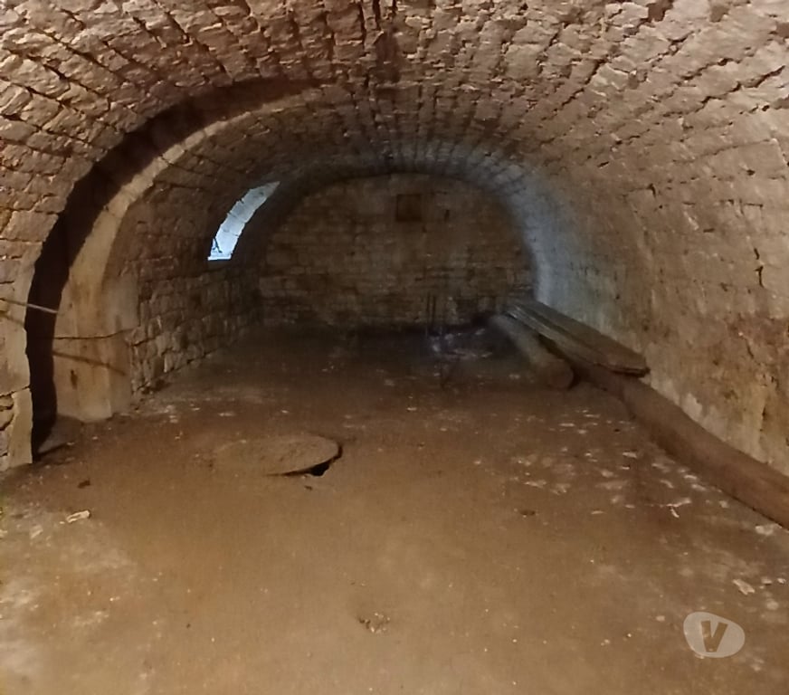 Vente Immeuble Haute-Marne Mussey sur Marne - 52300 - Photos Vivastreet Ensemble immobilier Maison avec 2 granges et terrain