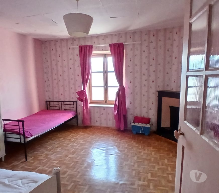 Vente Immeuble Haute-Marne Mussey sur Marne - 52300 - Photos Vivastreet Ensemble immobilier Maison avec 2 granges et terrain