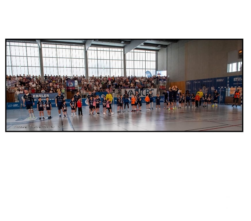 Evenements sportifs Haut-Rhin Cernay - 68700 - Photos Vivastreet 2 places pour Cernay Wattwiller Handball vs Beaune ce soir