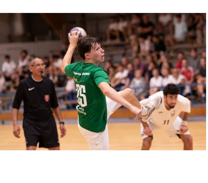Evenements sportifs Haut-Rhin Cernay - 68700 - Photos Vivastreet 2 places pour Cernay Wattwiller Handball vs Beaune ce soir