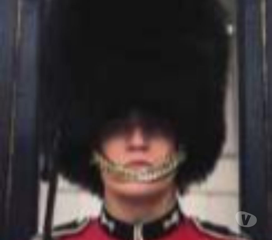 Cours de Langue Alpes-Maritimes Nice - Photos Vivastreet Professeur Natif Diplômé de Cambridge - Cours d’Anglais