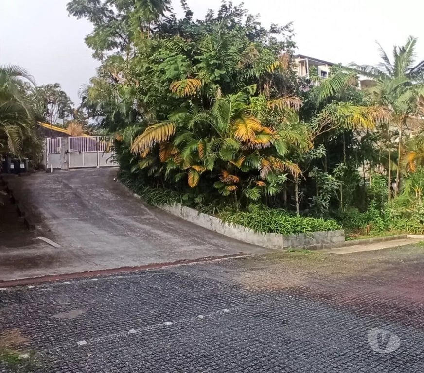 Appartement meublé La Réunion Le Tampon - 97430 - Photos Vivastreet Appartement 1 pièce