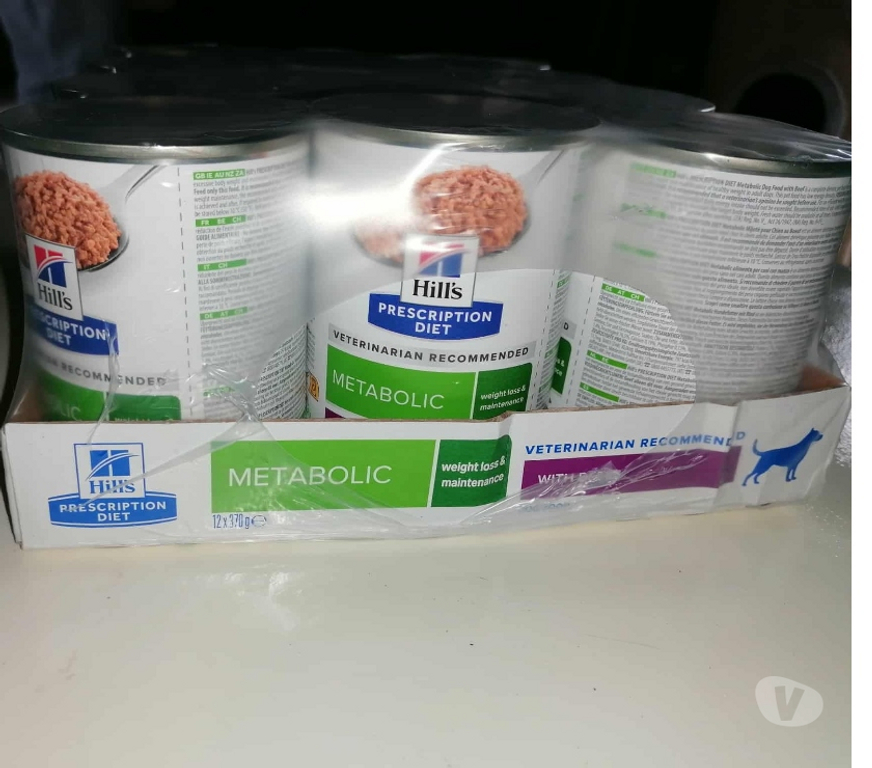 Services, accessoires animaux Var Frejus - 83600 - Photos Vivastreet 12 Boîte Pâtée pour Chien