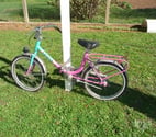 Cenon sur Vienne - Vienne — VELO FILLE PLIANT
