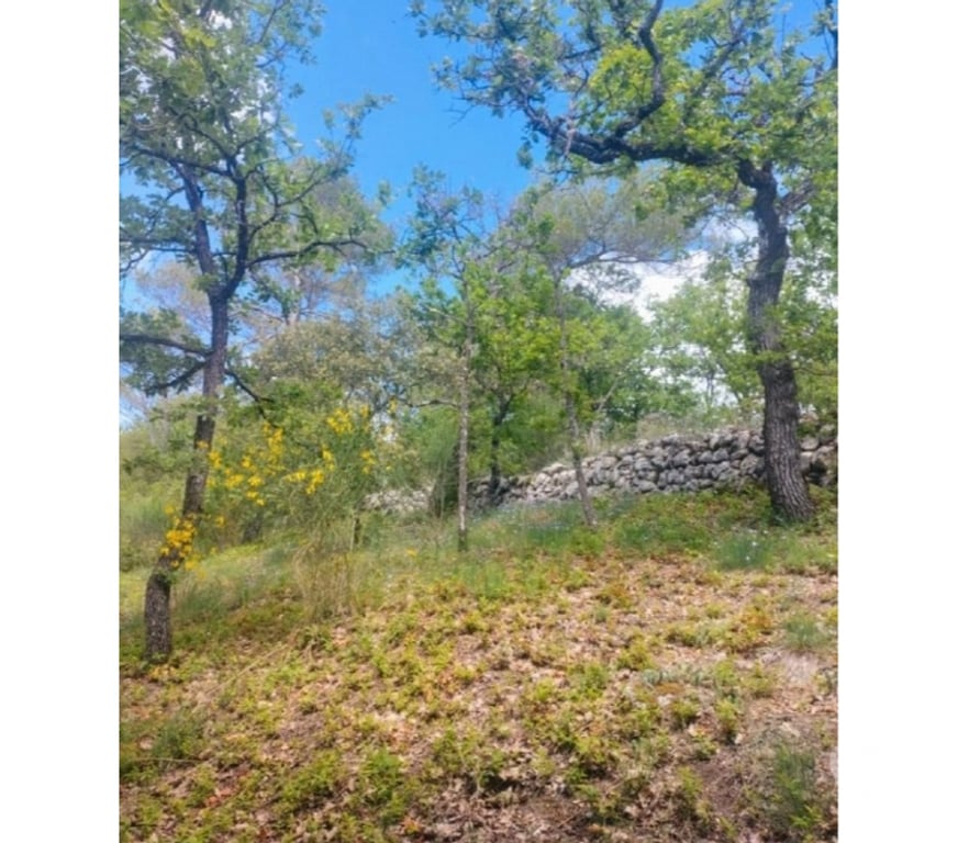 location saisonniere Alpes-de-Haute-Provence Greoux les Bains - 04800 - Photos Vivastreet Idéal appart. avec chambre à 200m des Thermes