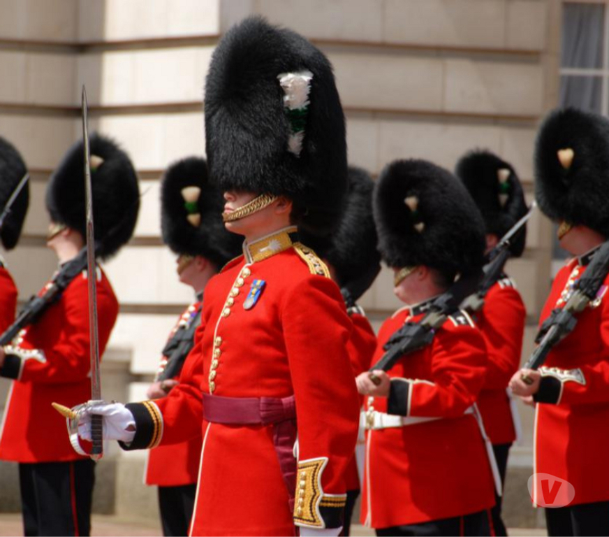Cours de Langue Rhône Lyon - Photos Vivastreet Prof. natif diplômé de Cambridge donne cours d’anglais